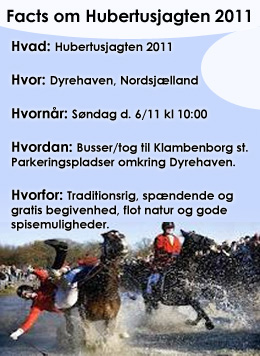 Hubertusjagt 2011