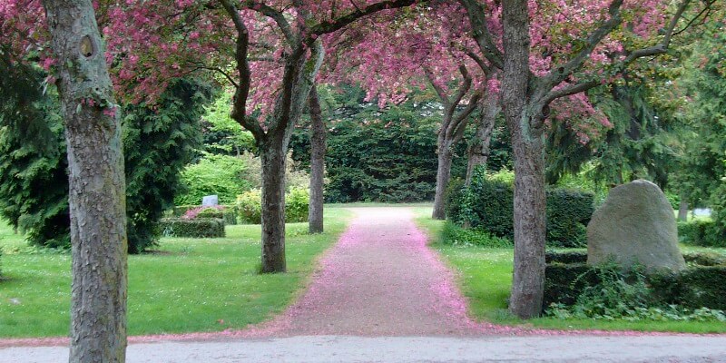 Assistens Kirkegård